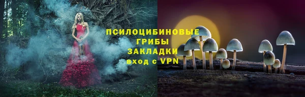 мяу мяу мука Михайловка